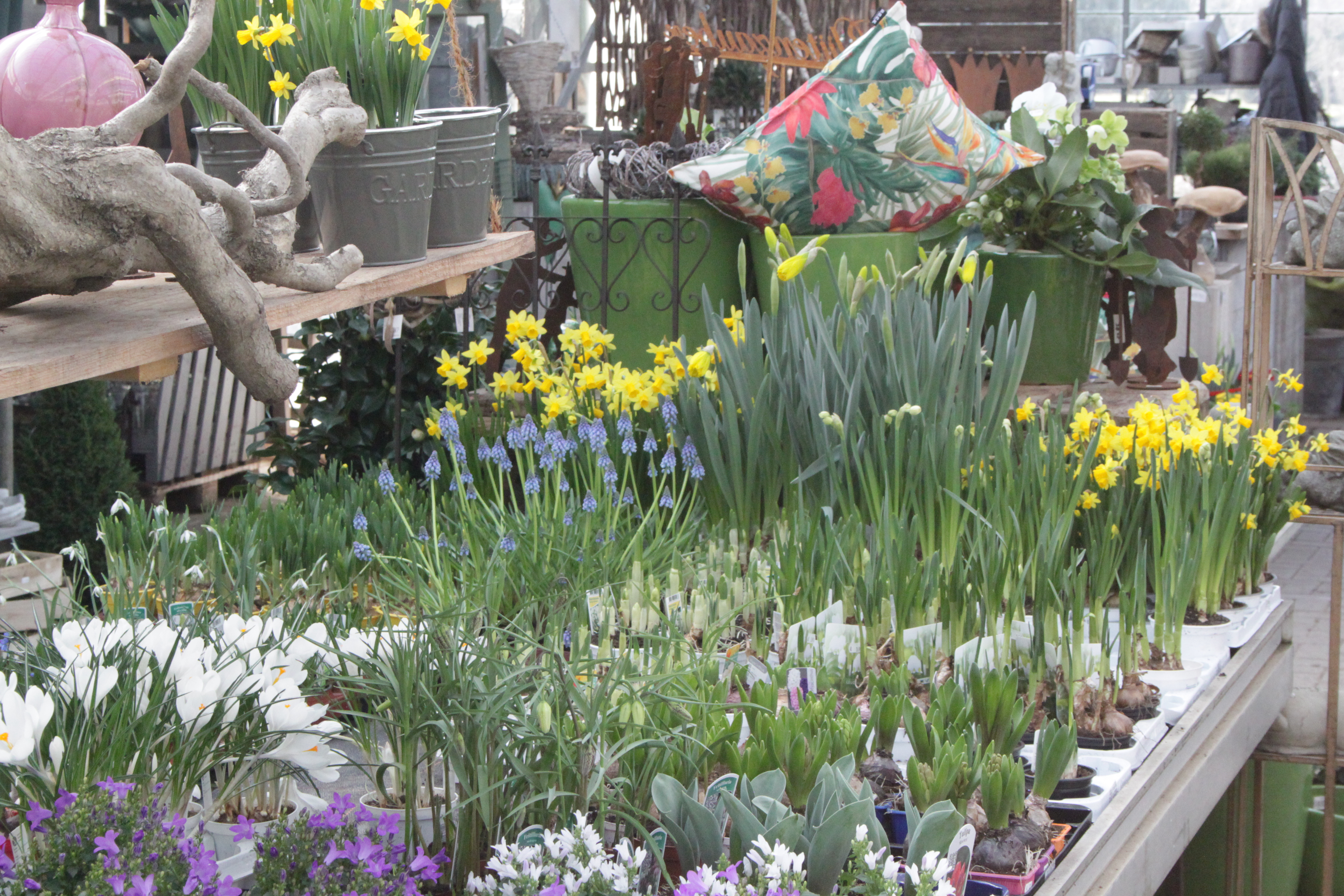 Den Garten fit für den Frühling machen. Einkaufsgarten